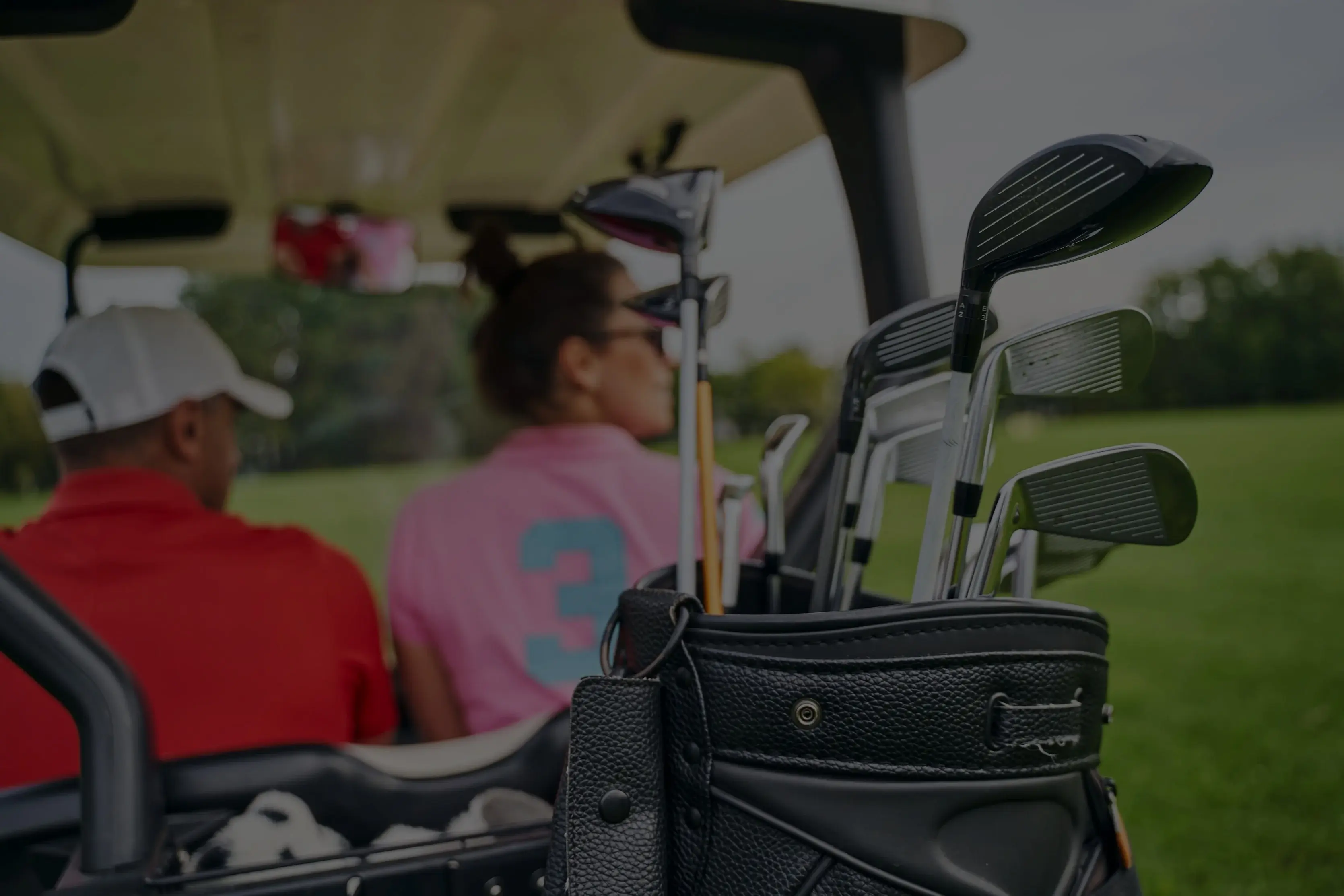 vista golf